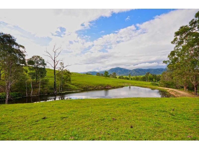 Maleny QLD 4552