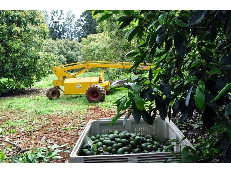 Lot 2 Burgess Avenue, Maleny QLD 4552