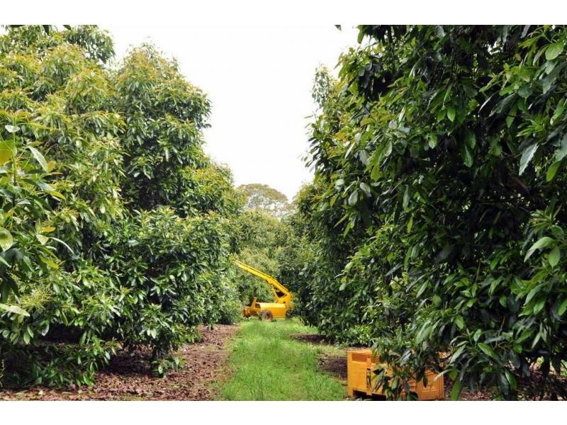 Lot 2 Burgess Avenue, Maleny QLD 4552