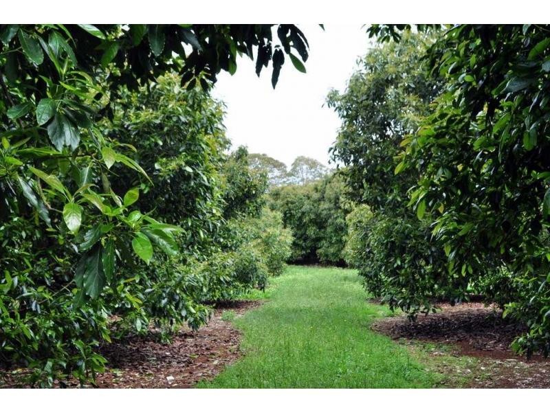 Lot 2 Burgess Avenue, Maleny QLD 4552