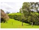 Maleny QLD 4552