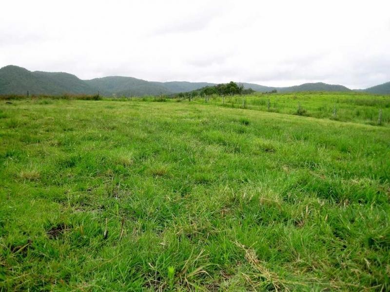 Conondale QLD 4552