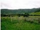 Conondale QLD 4552
