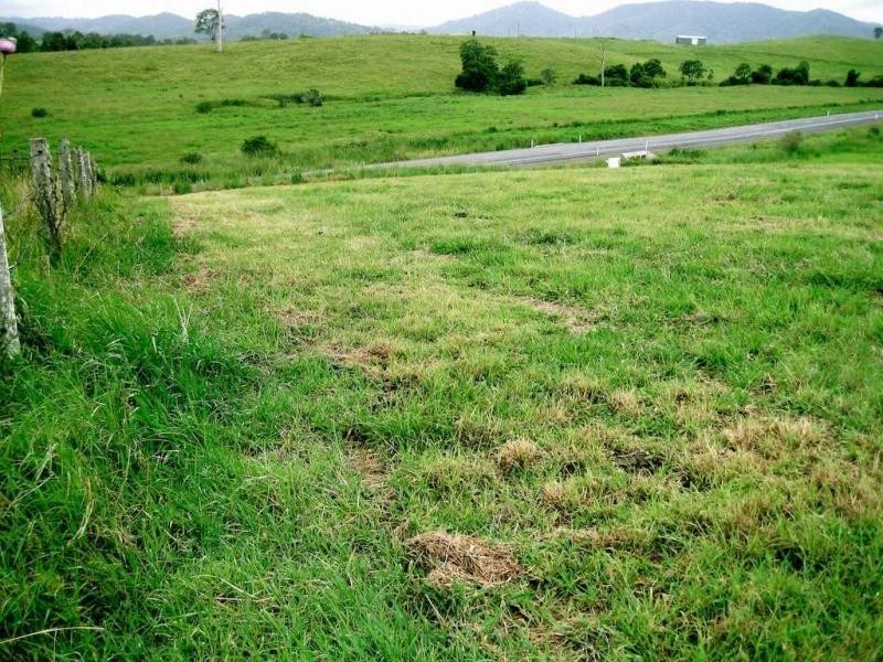 Conondale QLD 4552