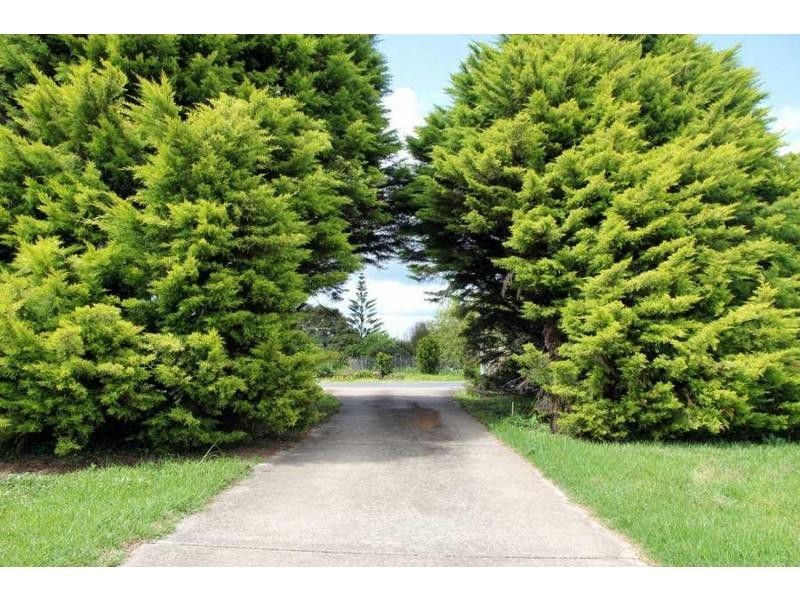 5 Kings, Maleny QLD 4552