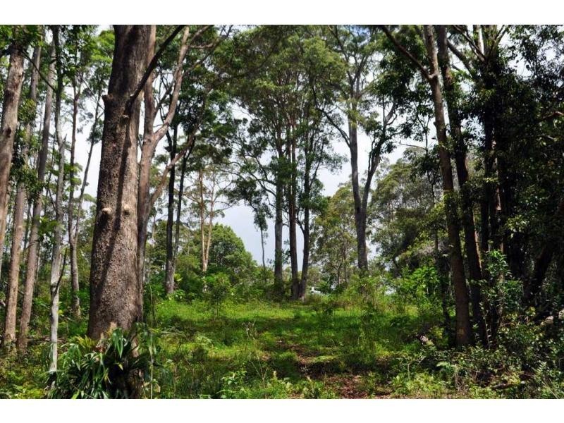 43 Cumner Lane, Maleny QLD 4552