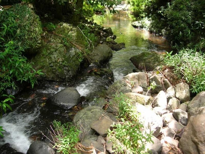 43 Cumner Lane, Maleny QLD 4552