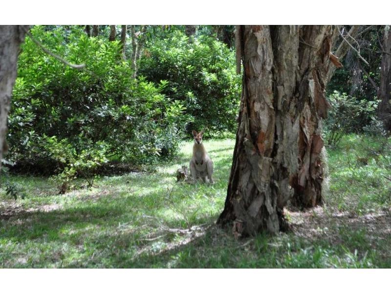 361 Candle Mountain Drive PEACHESTER, Maleny QLD 4552