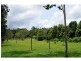 361 Candle Mountain Drive PEACHESTER, Maleny QLD 4552
