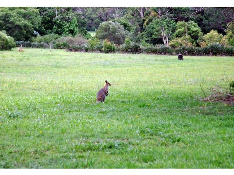 361 Candle Mountain Drive PEACHESTER, Maleny QLD 4552