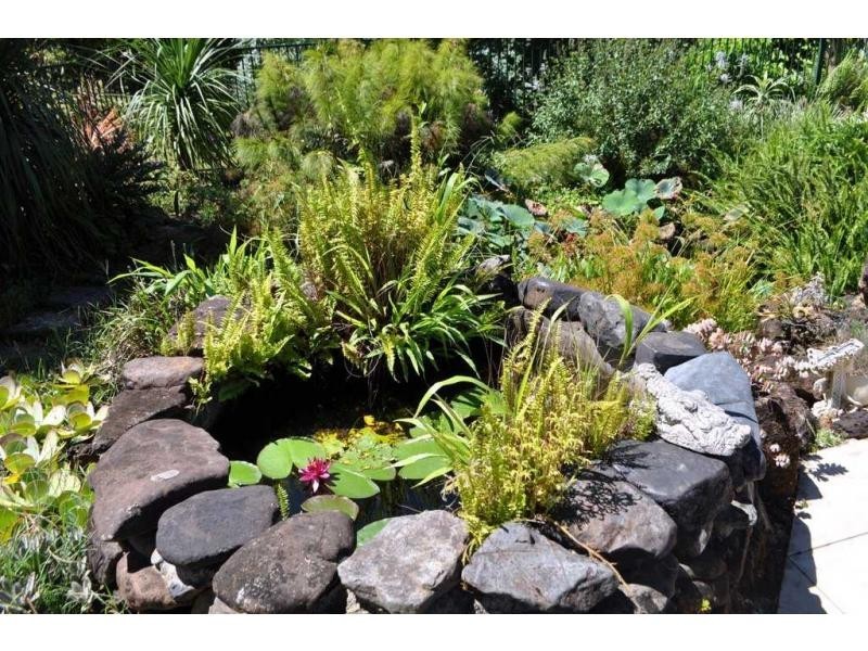 361 Candle Mountain Drive PEACHESTER, Maleny QLD 4552