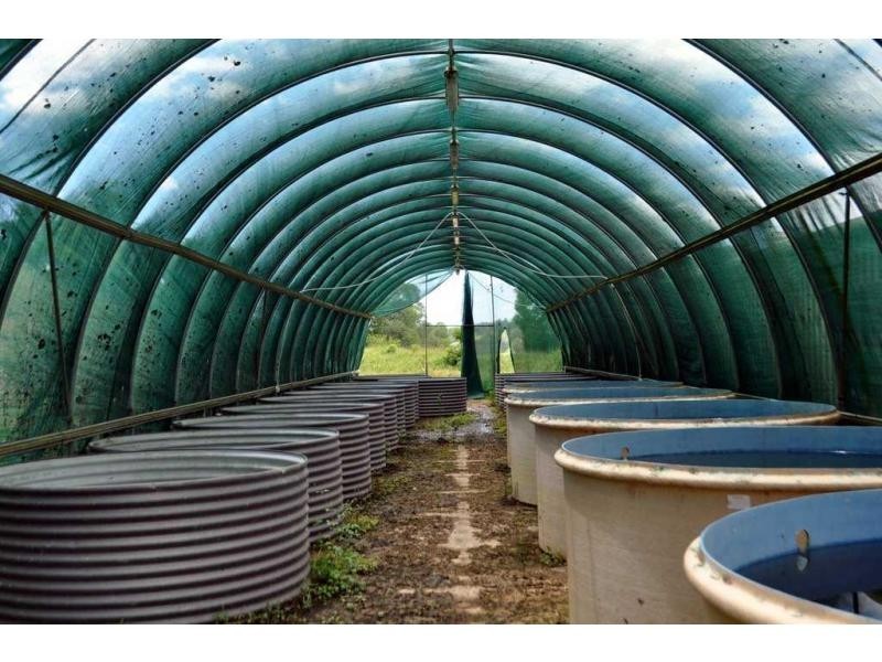 44 Wilcox Road, Kenilworth QLD 4574