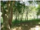 Maleny QLD 4552