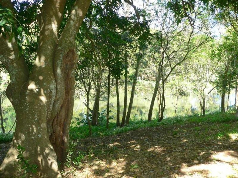 Maleny QLD 4552