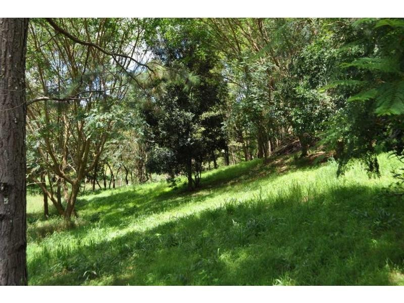 Maleny QLD 4552