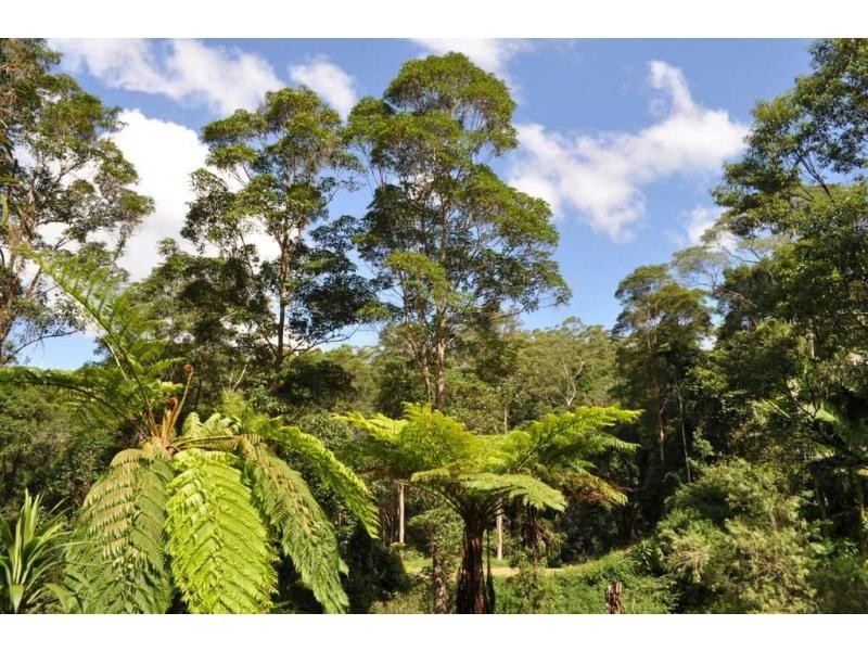 Maleny QLD 4552