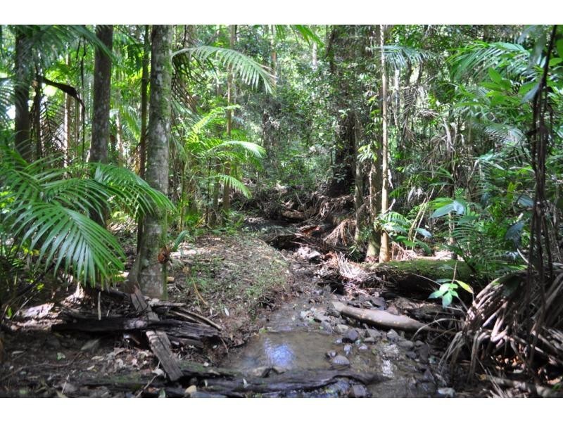 Maleny QLD 4552