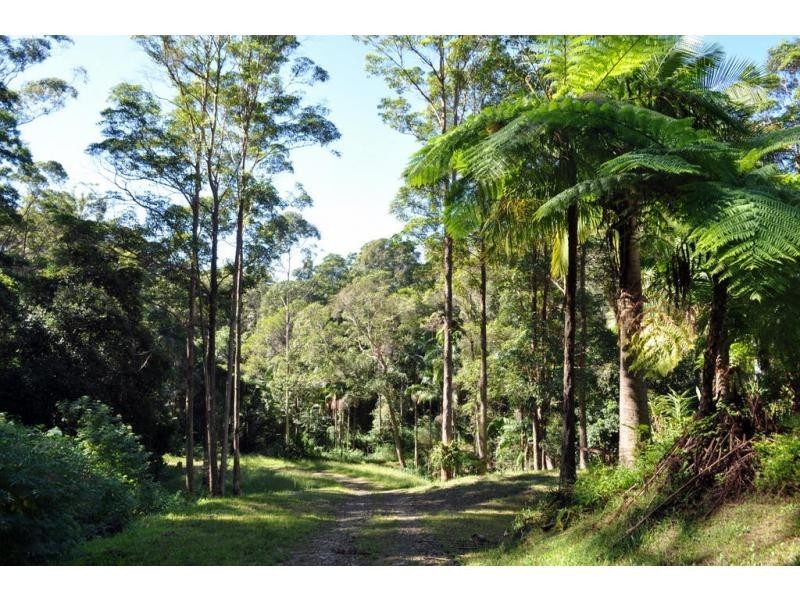 Maleny QLD 4552