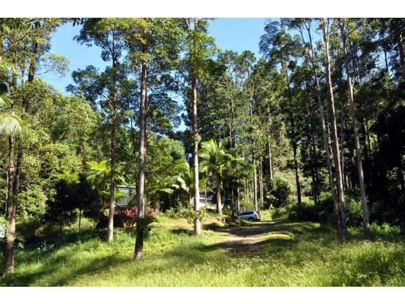 Maleny QLD 4552