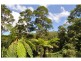Maleny QLD 4552