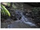 Maleny QLD 4552