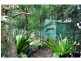 17 Gumland Drive, Maleny QLD 4552
