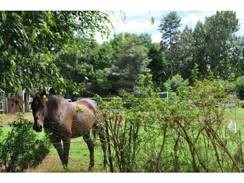 17 Gumland Drive, Maleny QLD 4552