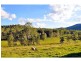 Maleny QLD 4552