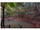 Maleny QLD 4552