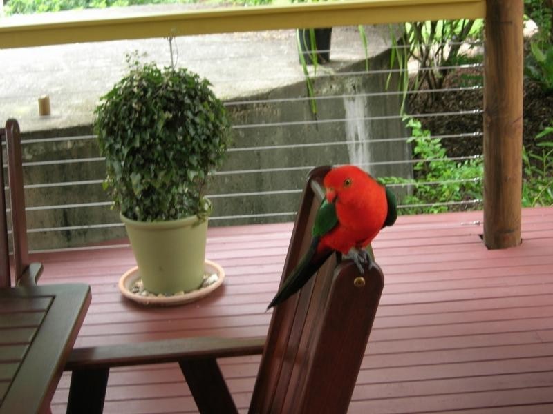 19 Granite Lane, Maleny QLD 4552