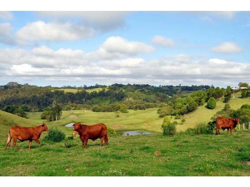 Maleny QLD 4552