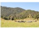 Lot Lot 3 Eastern Mary River Road, Maleny QLD 4552