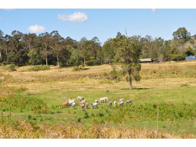 Lot Lot 3 Eastern Mary River Road, Maleny QLD 4552