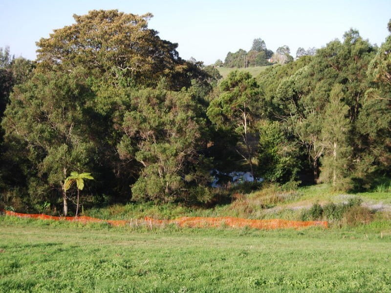 10 Ribbonwood Close, Centenary Park Estate, Maleny QLD 4552