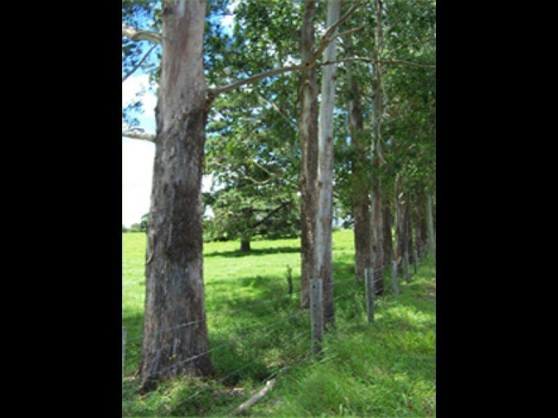 1 Cloudwalk Drive, Cloudwalk Estate, Maleny QLD 4552