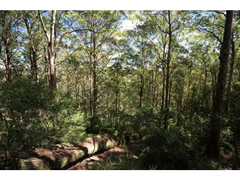 Maleny QLD 4552