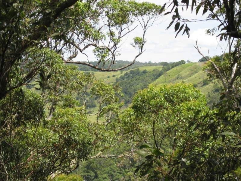 Maleny QLD 4552