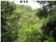 Maleny QLD 4552