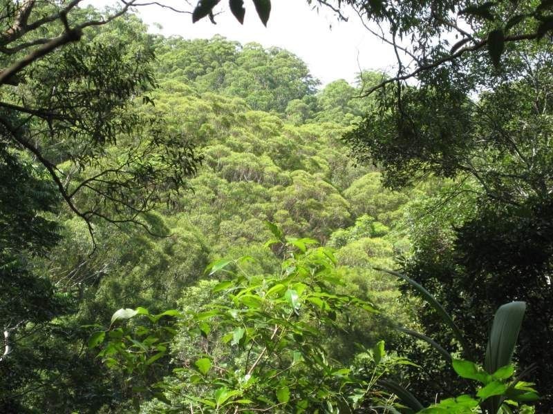 Maleny QLD 4552