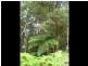Maleny QLD 4552