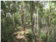 Maleny QLD 4552