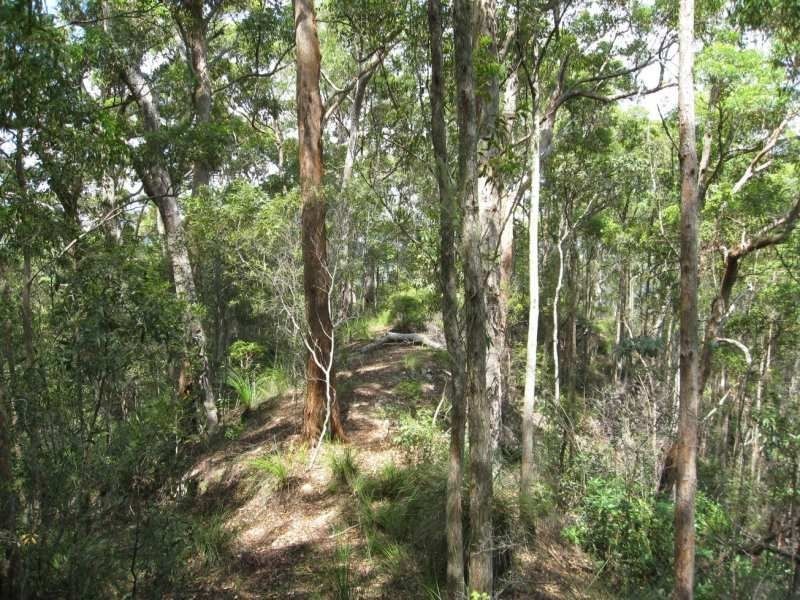 Maleny QLD 4552