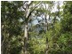 Maleny QLD 4552