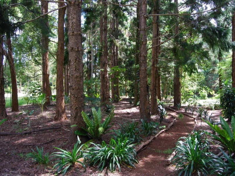 72 Cooke Road, Maleny QLD 4552