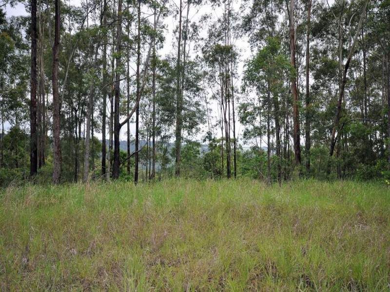 273 Scotts Road, Maleny QLD 4552
