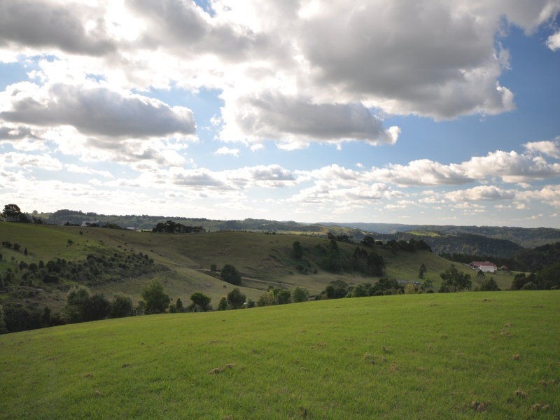 9 Curlew Court, Maleny QLD 4552