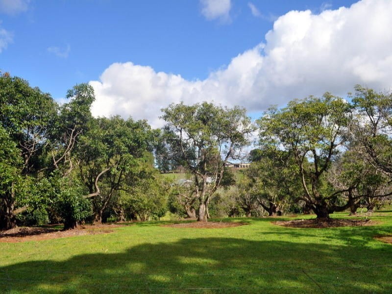 Lot 1 Burgess Avenue, Maleny QLD 4552
