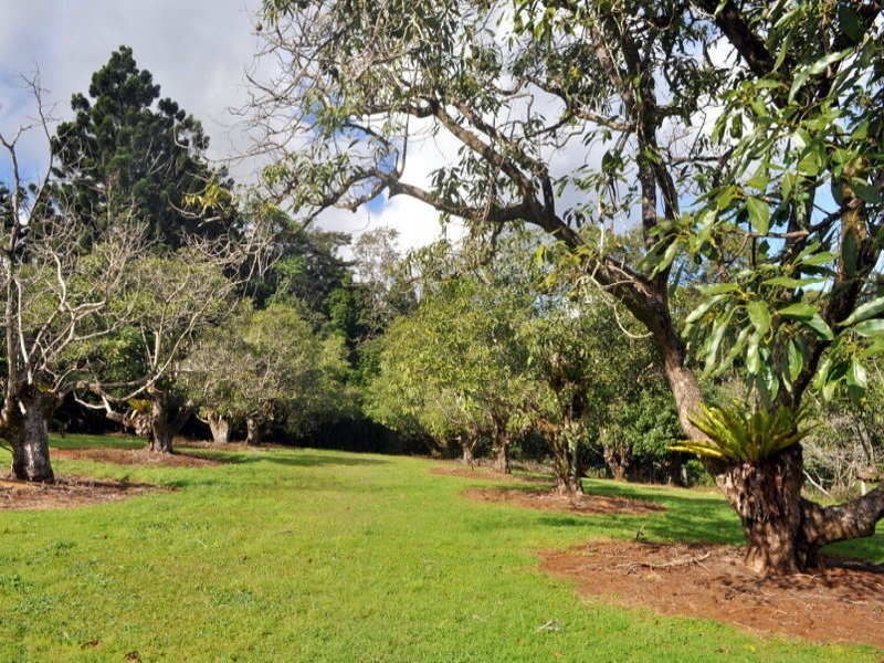 Lot 1 Burgess Avenue, Maleny QLD 4552