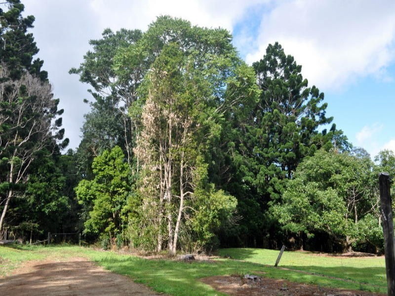 Lot 1 Burgess Avenue, Maleny QLD 4552