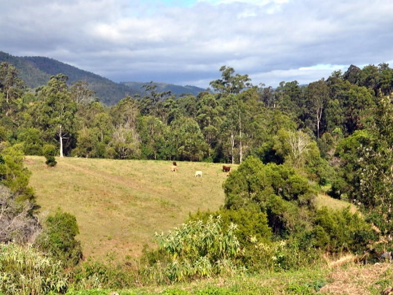 1 Upper Cedar Creek Road, Maleny QLD 4552
